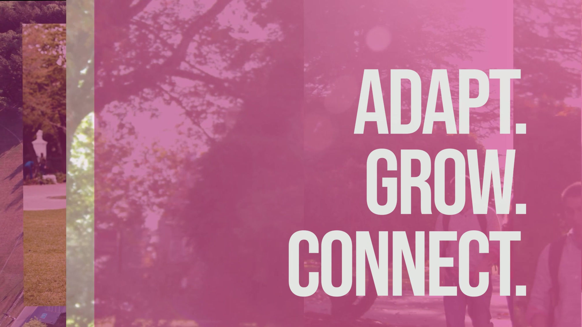 Innovare Promotional Video